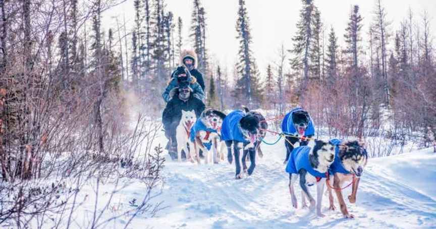 Holiday stress and porn triggers: 7 ways to cope