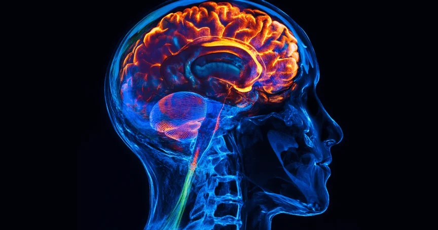 The Effects of Watching Too Much Porn: Understanding the Impact - Ever Accountable